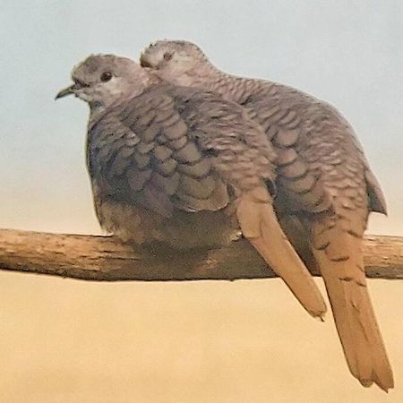 Willa Magica Cabana En Medio Del Bosque En Isla Venado Lepanto Zewnętrze zdjęcie