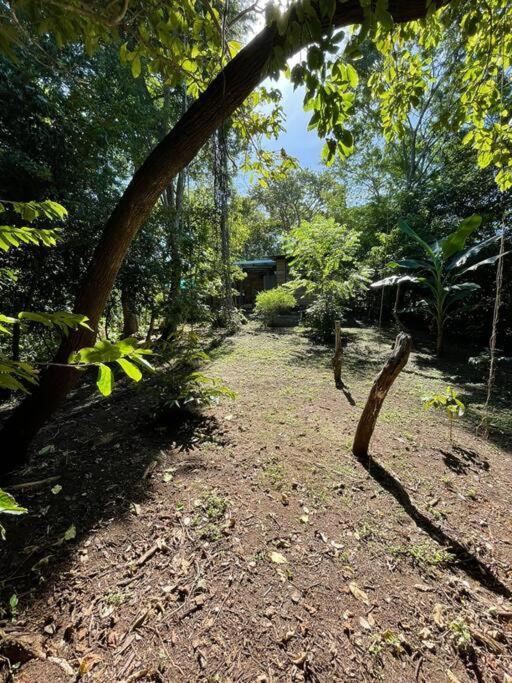 Willa Magica Cabana En Medio Del Bosque En Isla Venado Lepanto Zewnętrze zdjęcie