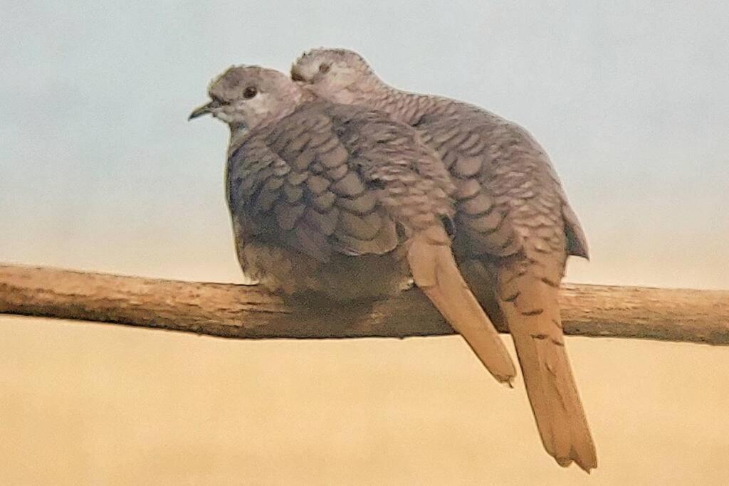 Willa Magica Cabana En Medio Del Bosque En Isla Venado Lepanto Zewnętrze zdjęcie