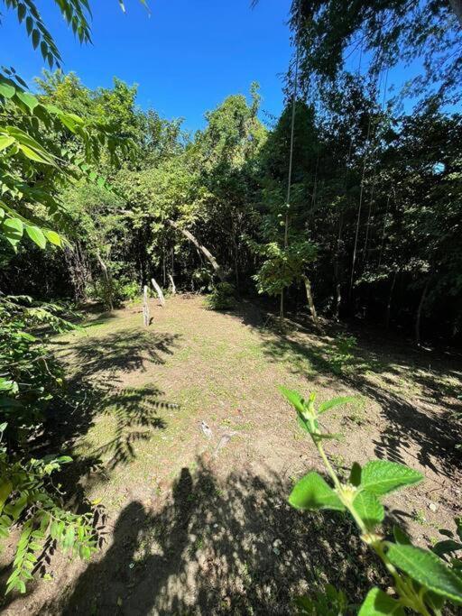 Willa Magica Cabana En Medio Del Bosque En Isla Venado Lepanto Zewnętrze zdjęcie